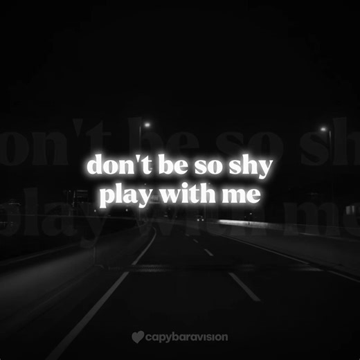 alexandra stan ‘mr. saxobeat’ (lyrics) #mrsaxobeat #alexandrastan #lyrics #romanianmusic #capybaravision