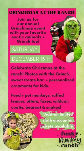 🎄✨ The Grinch is coming to Funky Monkey Ranch!✨🎄 Who says the Grinch’s heart is two sizes too small? This year, he’s bringing ALL the holiday cheer to the ranch! 💚 Join us Saturday, December 13th for our annual GRINCHMAS AT THE RANCH event! 🎅🐒 Get ready for: 📸 Photos with the Grinch! 🍬 A sweet treats bar that’ll make your taste buds dance. Personalized ornaments for the kiddos. 🐵 Up-close encounters with our amazing exotic animals—monkeys, ruffed lemurs, otters, foxes, wildcat, coatis, b