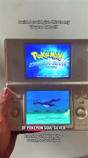 My NDS Runs PSP