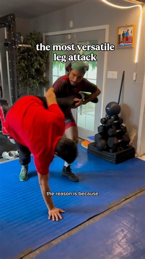 Carlos Monteon on Instagram: "Single Leg tutorial for beginners. This is the technique and drills I use to introduce single legs to new wrestlers. As someone who has competed in 7 different styles of grappling, I believe the single leg takedown to be the most versatile leg attack."