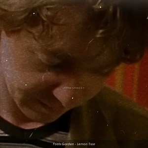 1.2M views · 111K reactions | Fools Garden - Lemon Tree. | Rolitas Chidas 2.0 | Facebook