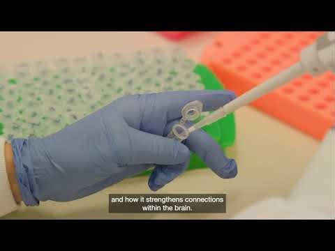 Testimonial for Custom Designed TaqMan Array Cards for Research