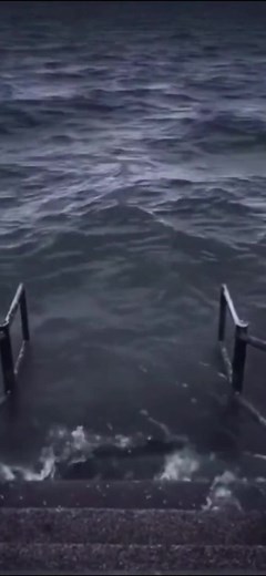 子供の面白い動画集で爆笑を！