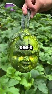 THE NEW COO CALLED MY WORK "REDUNDANT." SO I STOPPED FIXING THE VENDOR'S MISTAKES. A WEEK LATER...