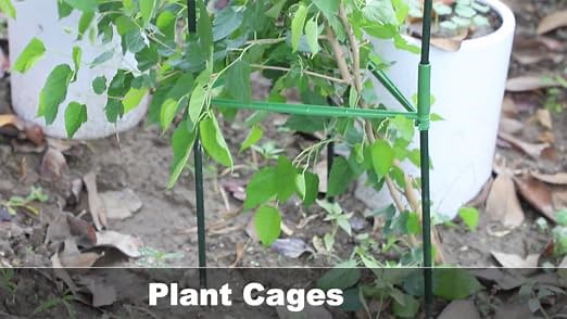Plant Cages Assembled Tomato Garden Cages Stakes