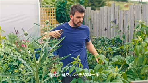 朴门永续-这个小规模的永久性农业园充满了食物