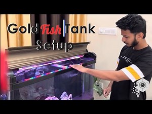 Goldfish Tank setup