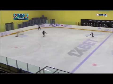 hockey save
