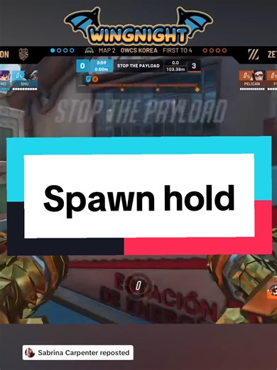 Nerf ana #overwatch #overwatch2 #cat #kitty #mauga | kitty