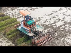 Modern Rice Farming Technology | Tractor Plowing Wet Rice Field