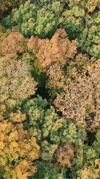 Scope 4 Fold sleep system, comodità leggerezza e praticità tutte nello stesso lettino!💤 #nashtackle #nashbait #nashsleepsystem #WhereWillYoursTakeYou #carpfishingitalia | Nash Tackle Italia