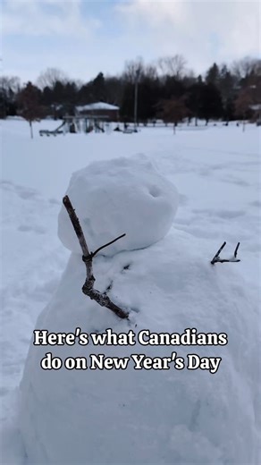 Who's got a homemade ice rink in their neighbourhood? They take a lot of work - kudos to the volunteers who create these magical places! 🎉 Happy New Year - cheers to 2026! 🎉 | The Generator