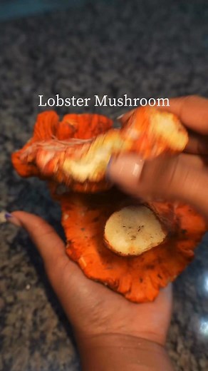 Lobster Mushroom Rolls 🍄 ✨I cleaned with a fruit brush (they don’t absorb water like other mushroom types) ✨Seasoned with kelp, dulse, umami, frontier seafood seasoning, old bay and lemon juice. ✨The buns are Keto by Nature’s Own 🍄mushrooms from @themushroomkings #mushrooms #lobster #lobstermushrooms #vegan #plantbased #lobsterroll | Sharnise