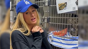 Paris Hilton volunteers at Pasadena Humane Society after wildfires destroy home