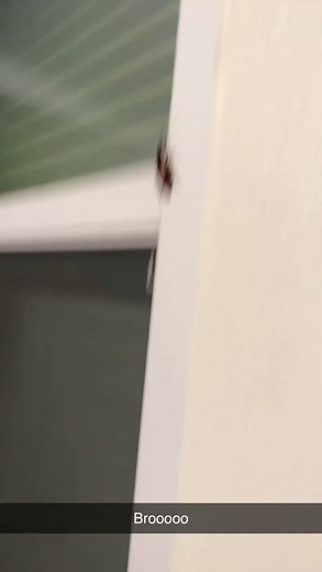 Didnt know it could fly