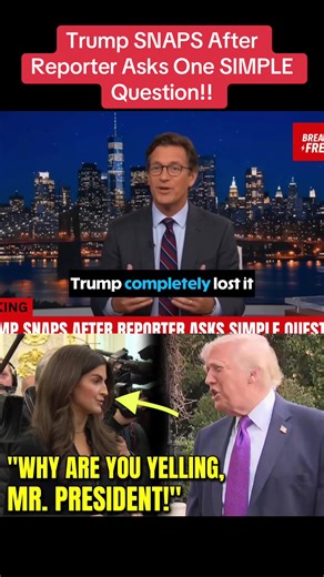 #news #breakingnews #new #newstoday | breaking news