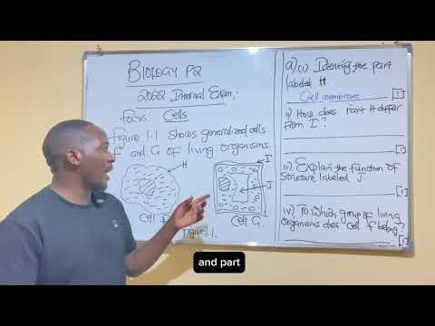 Biology P2 2022 Exam on Cells.