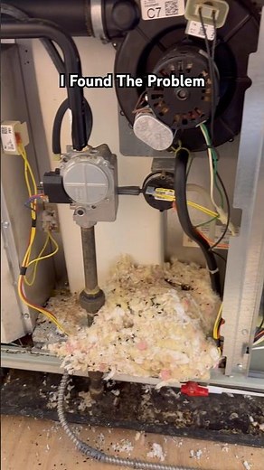 Mice Hibernating In A Furnace #hvac #heating #hvaclife #construction