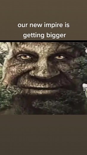 #fyp #misticaltree #fy