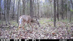 7.7K views · 16 reactions |  **NEW LEASE – SOUTHERN INDIANA BIG BUCK...