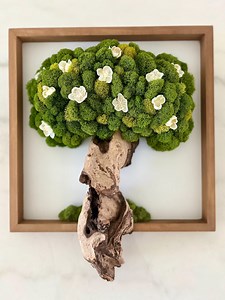 Moss Tree Wall Decor, Handmade Preserved, Frame (12x12) - Etsy