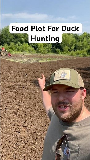 Duck Hunting How To Plant a Food Plot