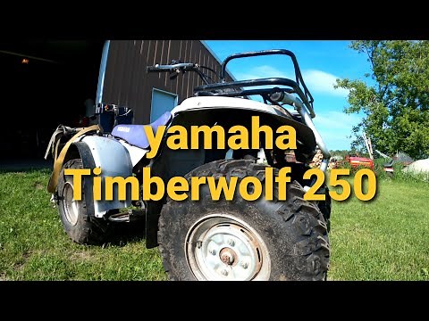 Yamaha Timberwolf 250!! (fixing and riding!!)