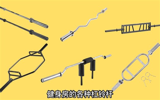 健身房的各种杠铃杆，分别都多少公斤