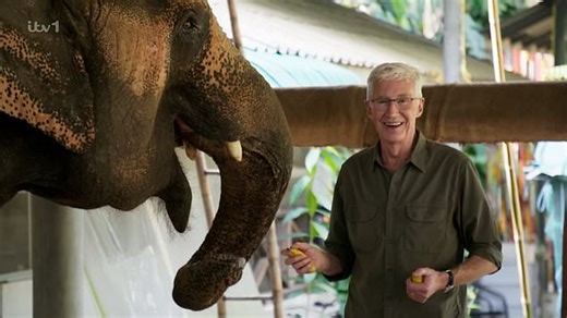Paul O'Grady's fans emotional as they watch late star's last doc