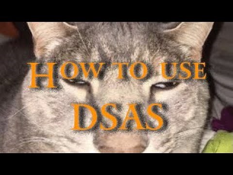 Basics of Dark Souls Animation Studio