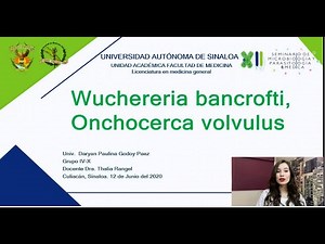 32. Wuchereria bancrofti y Onchocerca volvulus