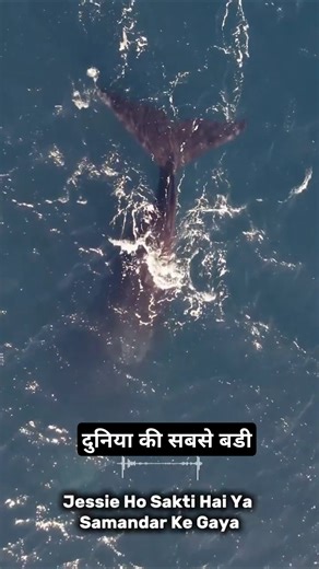 The Bloop Sound 1997 | Real Ocean Mystery Explained