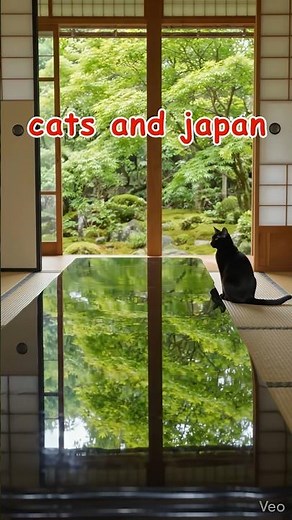 猫と巡る日本の絶景 滋賀・旧竹林院編｜Exploring Japan with a Cat in Shiga：漆黒の鏡に映る青もみじ、新緑の静寂に溶け込む黒猫 #猫 #cat #滋賀 #Japan