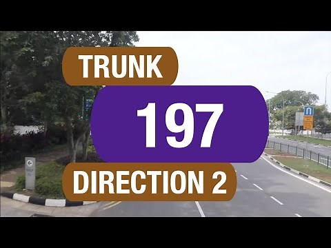 SBS Transit Trunk 197 (Direction 2) | Bus Service Route Visual