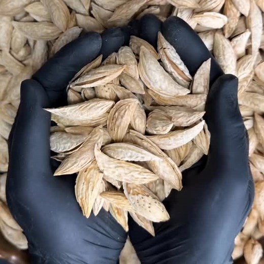 Full Soft Shell Afghanistan Almonds | Khan Dry Fruits