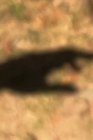 Provocation (2025) - AZ Movies