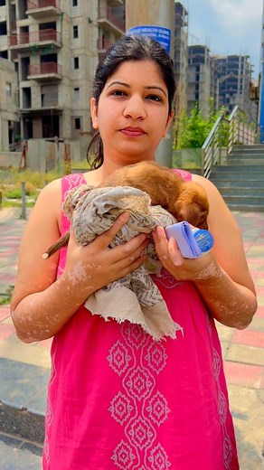 We did our best for his life 🙏🏻 almost recovered this boy, just need care some more days 🙏🏻 | Huskyindia0