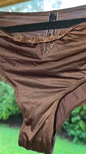 Shiny Silky Pantie