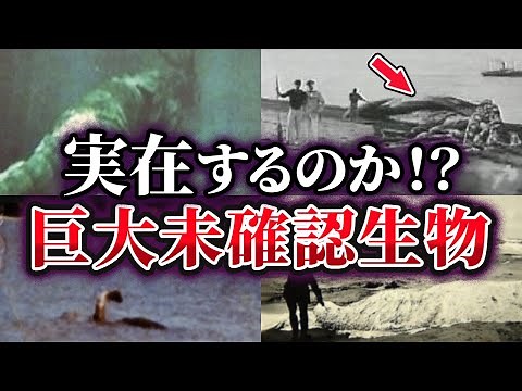 【ゆっくり解説】実在するのか⁉謎の巨大未確認生物（UMA）5選