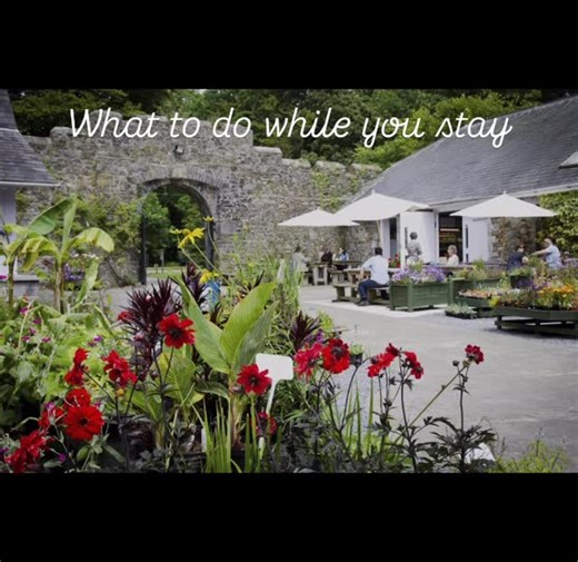 Thorning Farm Glamping on Instagram: "Wondering what to do for a day out while staying at Thorning farm? Dog Friendly ones 🐕 rules apply Here are some ideas all in a 20 mile..ish radius. Historical Town of Carmarthen with Castle Museum Shops Cinema Theatre Parks Walks and Roman amphitheatre 🐕 ￼ Something for the kids 🦁 and big kids 🎢 🏹 Folly Farm Adventure Park 8.8miles Manor Wildlife Park 12miles Heatherton World of Activities 12 miles 🐕 Dinosaur park Tenby 13 miles Castles 🏰 & Gardens �