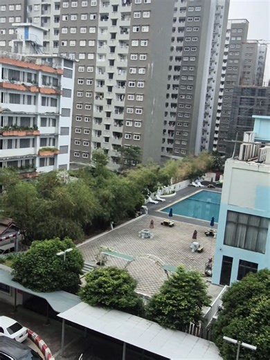 အမွေးရှည်ရှည်နဲ့ဆိုတော့ ရုတ်တရက် ခွေးလေးမှတ်နေတာ ကြောင်လေးဖြစ်နေတယ်.. ဝရံတာတွေက နှိမ်တော့ အရှိန်လွန်ပြုတ်ကြတာထင်တယ်.. ကြောင်လေးသခင်တော့ တော်တော်စိတ်မကောင်းဖြစ်နေမှာ... #cat #pet #sad #petlover #badday