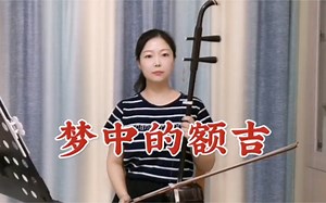 梦中的额吉，二胡演奏