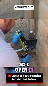 Rats Getting In?! 🐀 Seal THIS Vent Now (Easy Fix!) #ratcontrol #rodentcontrol #rats #mice