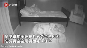 1岁宝宝每晚关灯后都从床上偷偷溜下来 监控拍到与狗狗的友爱一幕
