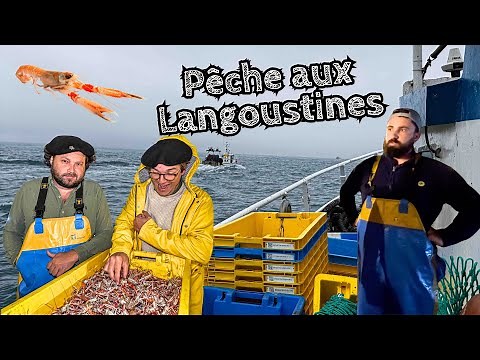 Lobster fishing! 🦞 Feast