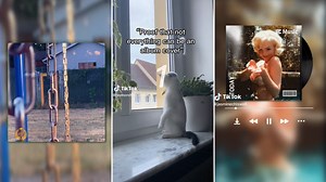 Proof That Not Everything Can Be An Album Cover | Know Your Meme