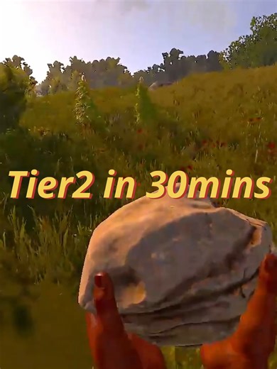 Domina Rust en 30 minutos: Guide para el Tier 2