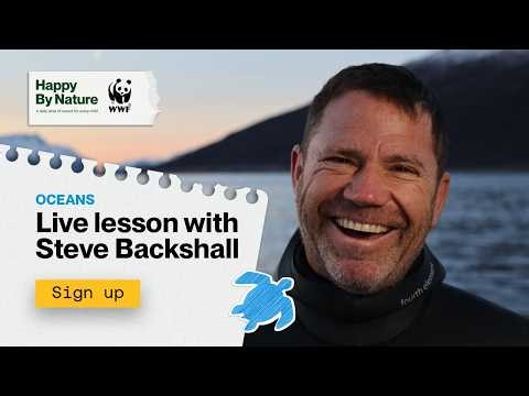 Ocean Live Lesson With Steve Backshall | Happy By Nature