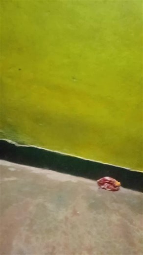 Princess S Sony on TikTok