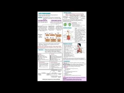 Class 10 cheat notes on life processes #Prashant kirad